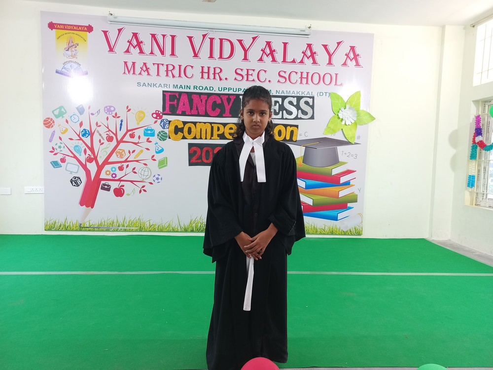 Fancy Dress Competition (III- Std)- 2024-25